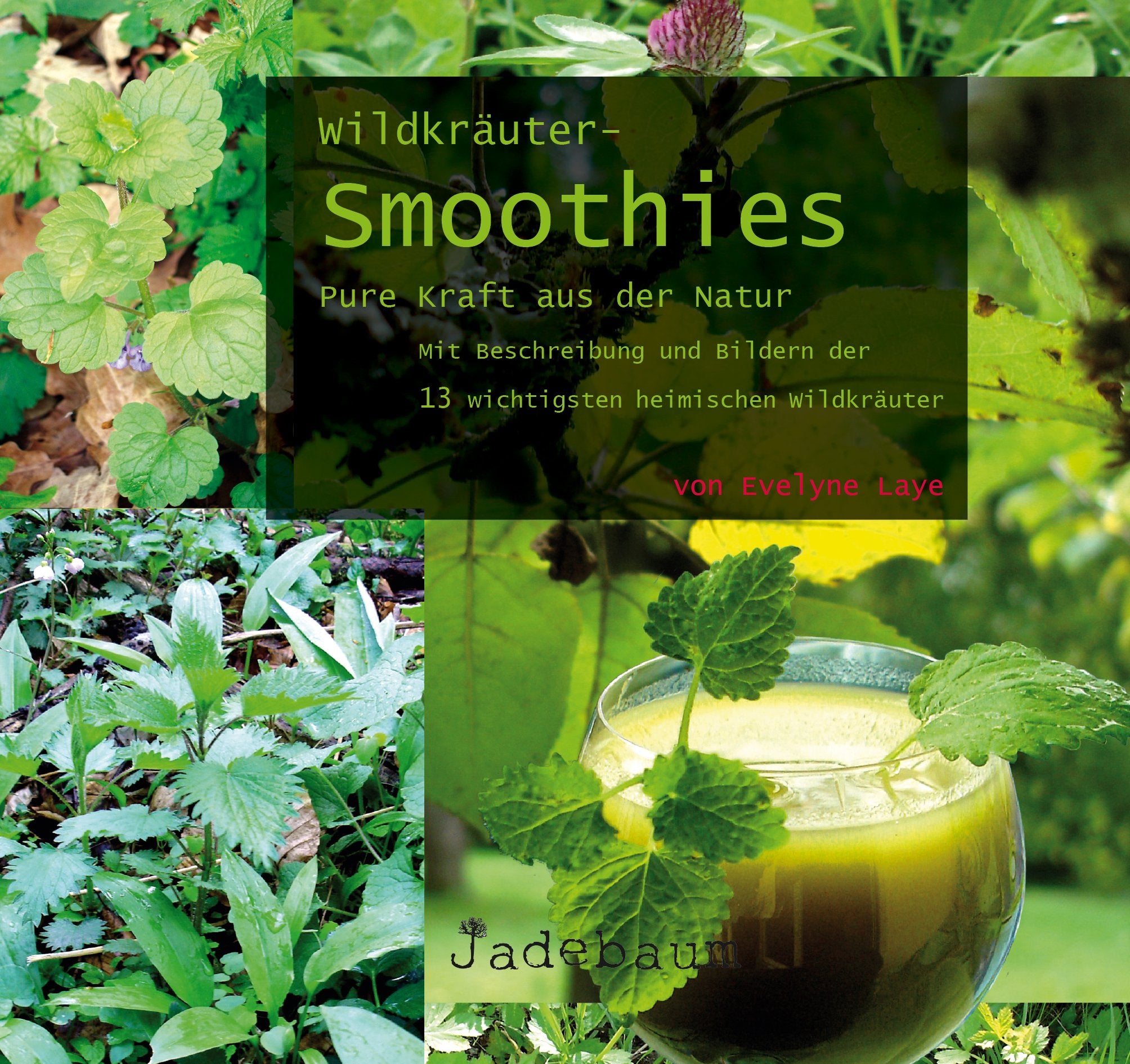 Wildkräuter-Smoothies - Pure Kraft aus der Natur Health, Nutrition & Fitness