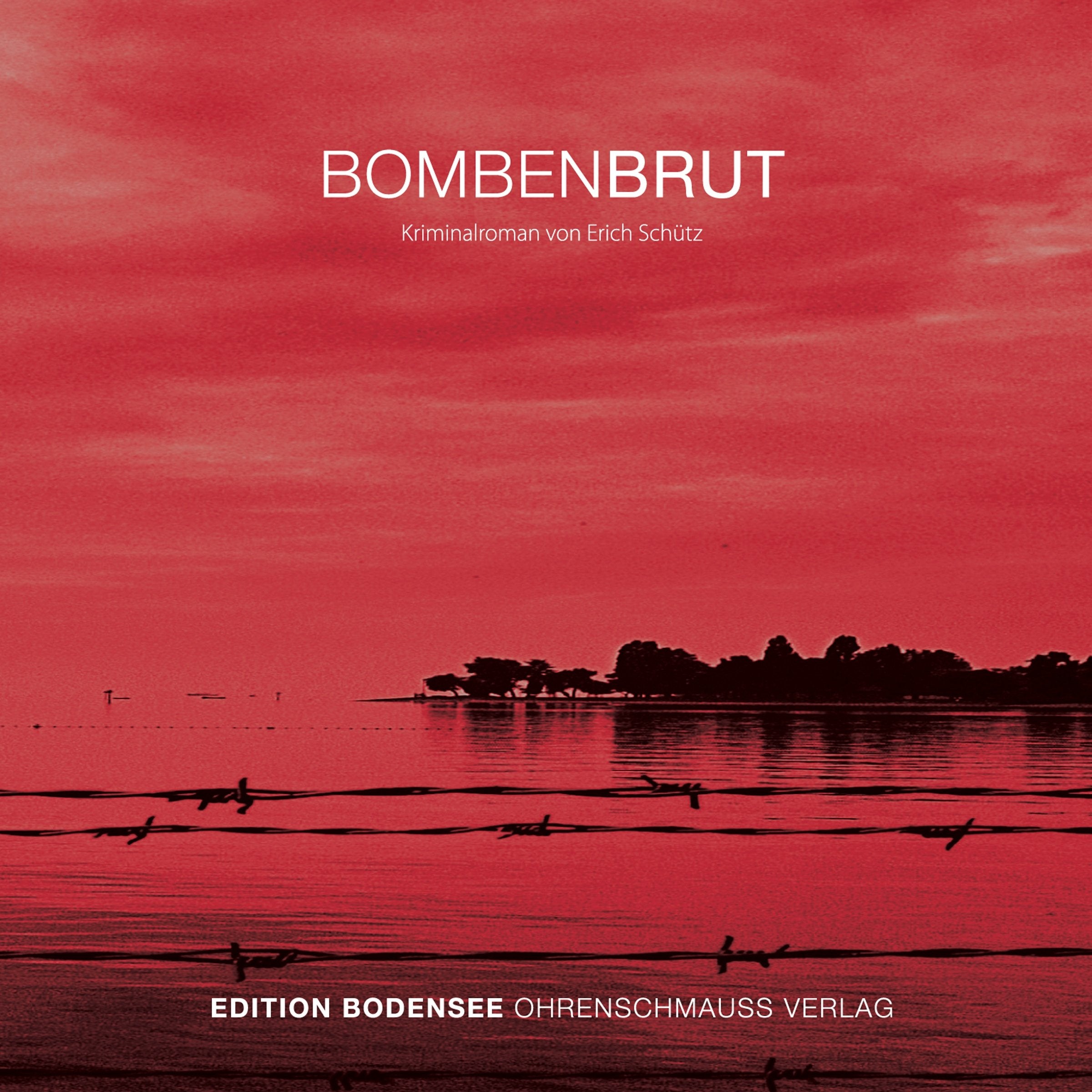 Bombenbrut Contemporary literature Books