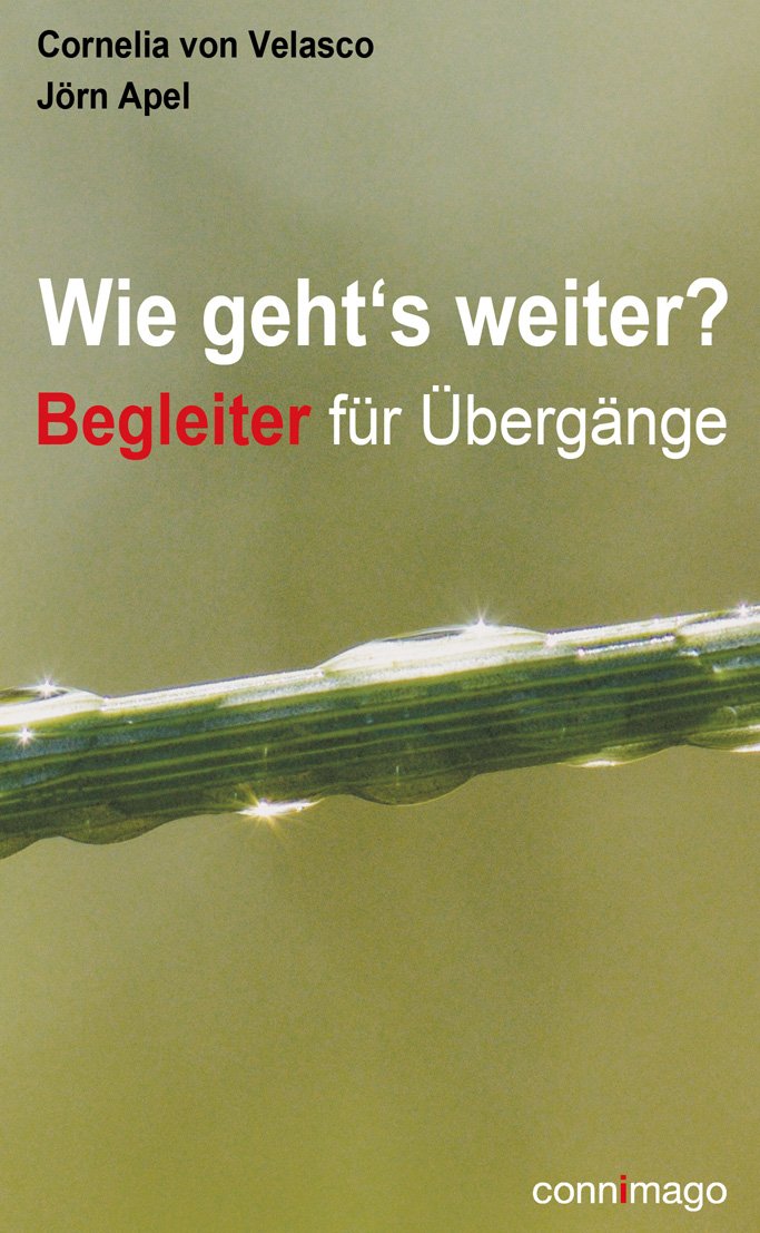 von Velasco, C: Wie geht's weiter? Lifestyle