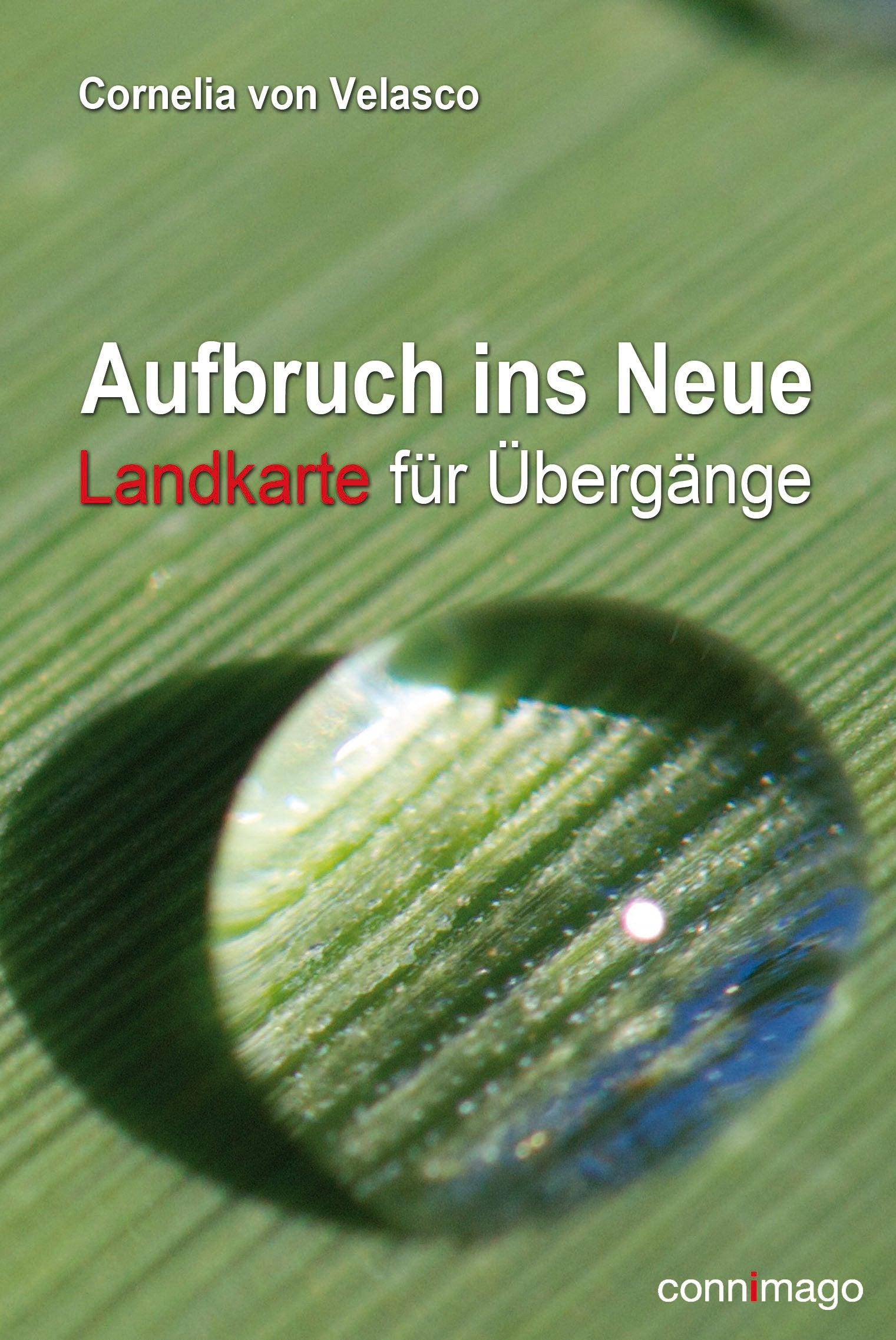 Aufbruch ins Neue: Landkarte für Übergänge Lifestyle