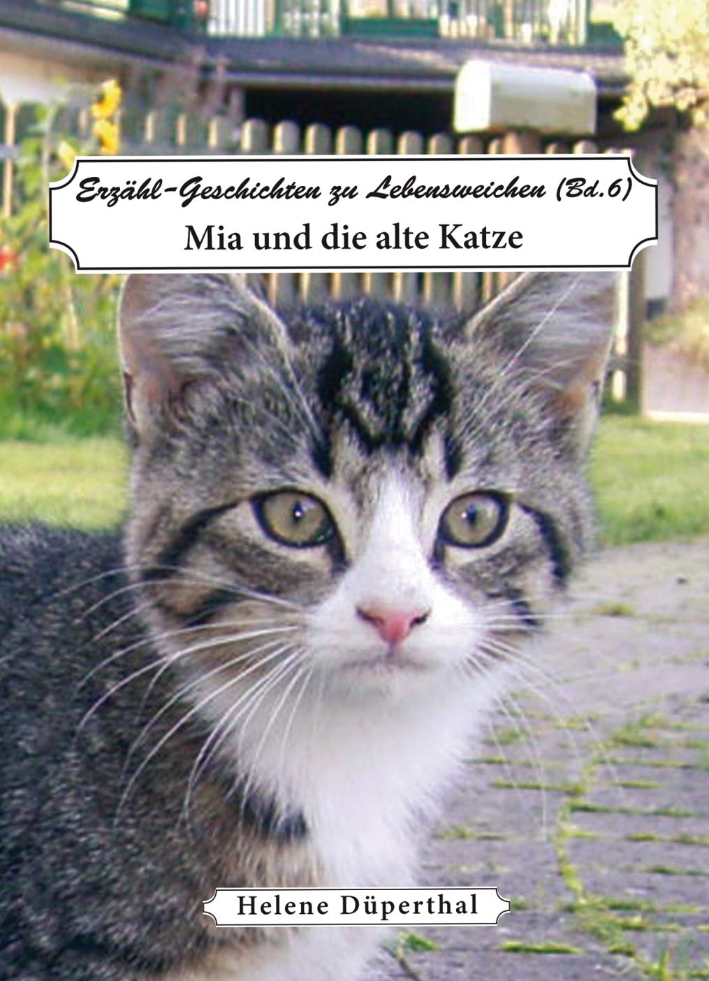 Erzähl-Geschichten zu Lebensweichen Bd. 6 Contemporary literature