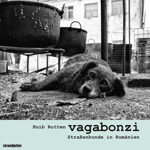 vagabonzi: Straßenhunde in Rumänien Film, Art & Culture
