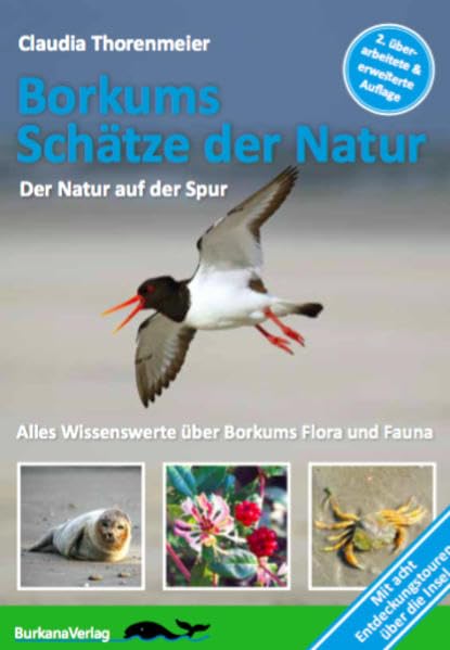 Thorenmeier, C: Borkums Schätze der Natur - 2. überarbeitete Architecture