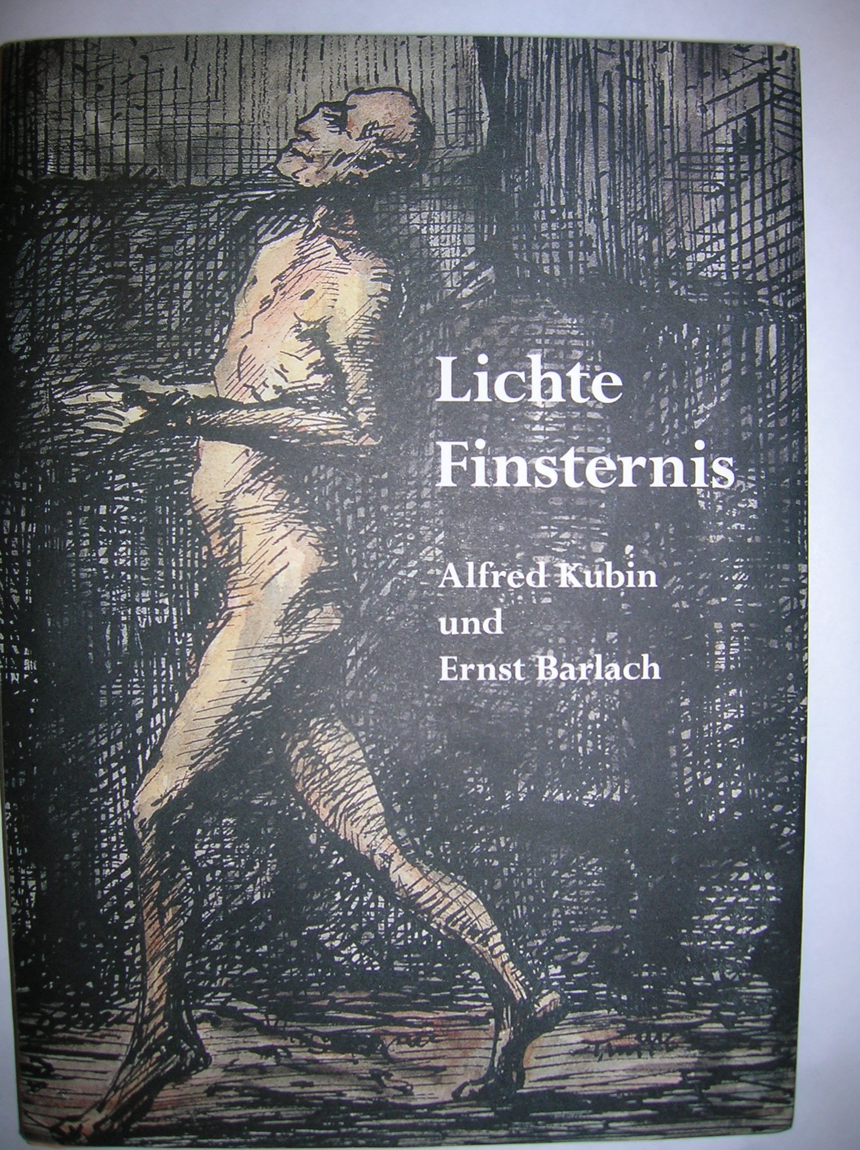 Lichte Finsternis. Alfred Kubin und Ernst Barlach Books