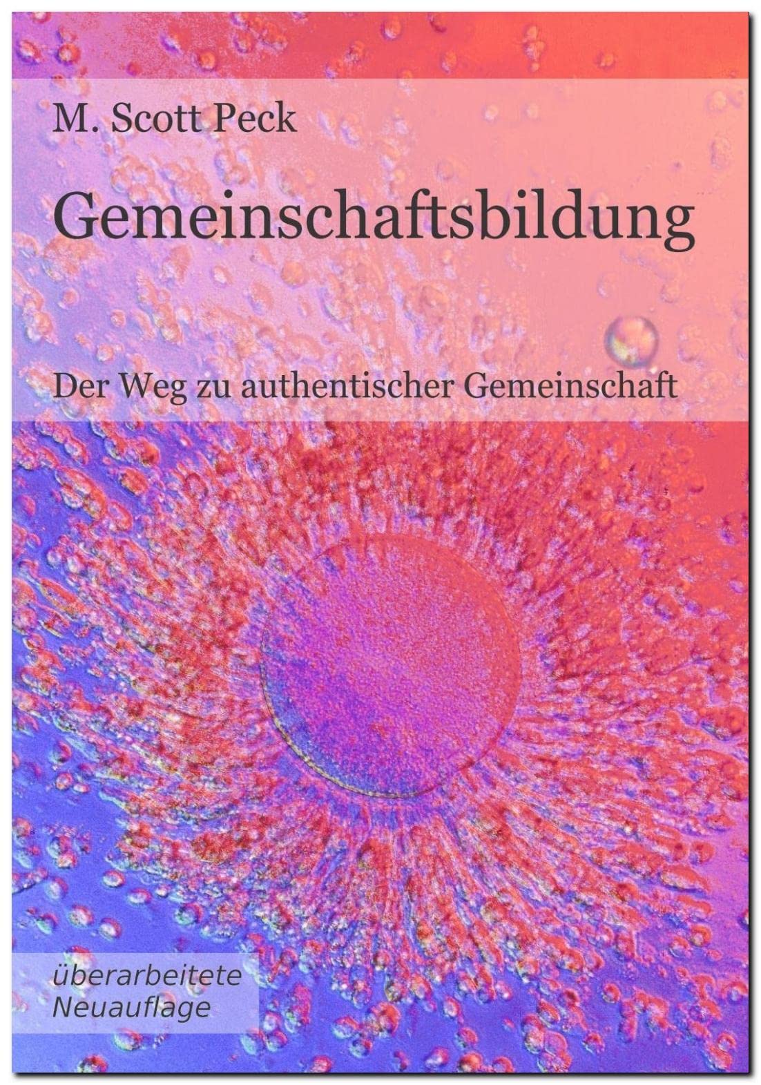 Product Image: Gemeinschaftsbildung