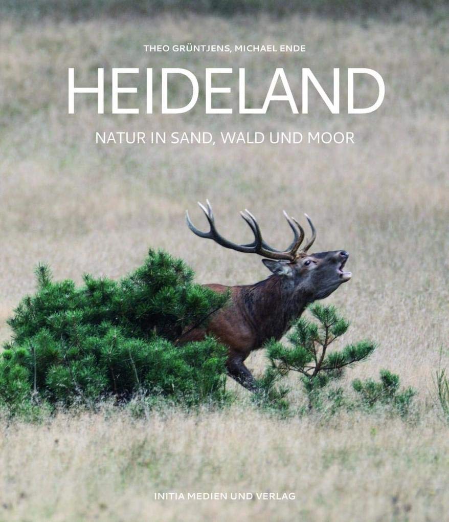Heideland: Natur in Sand, Wald und Moor Business & Technology