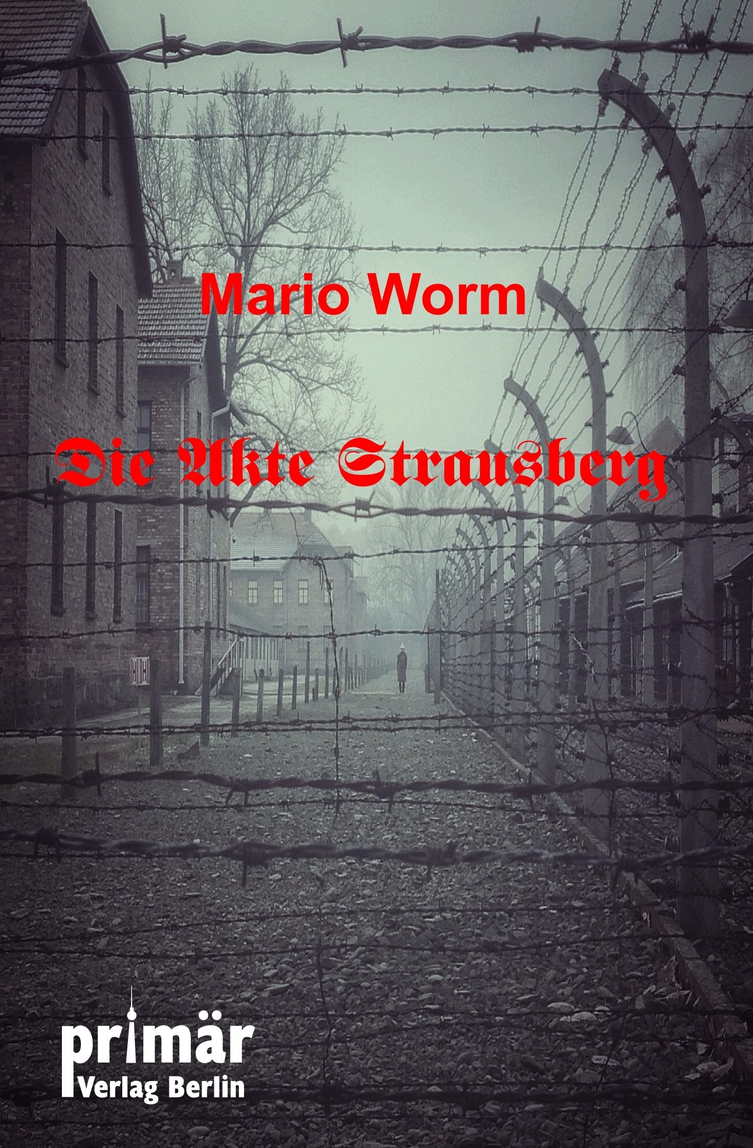 Die Akte Strausberg Contemporary literature Books