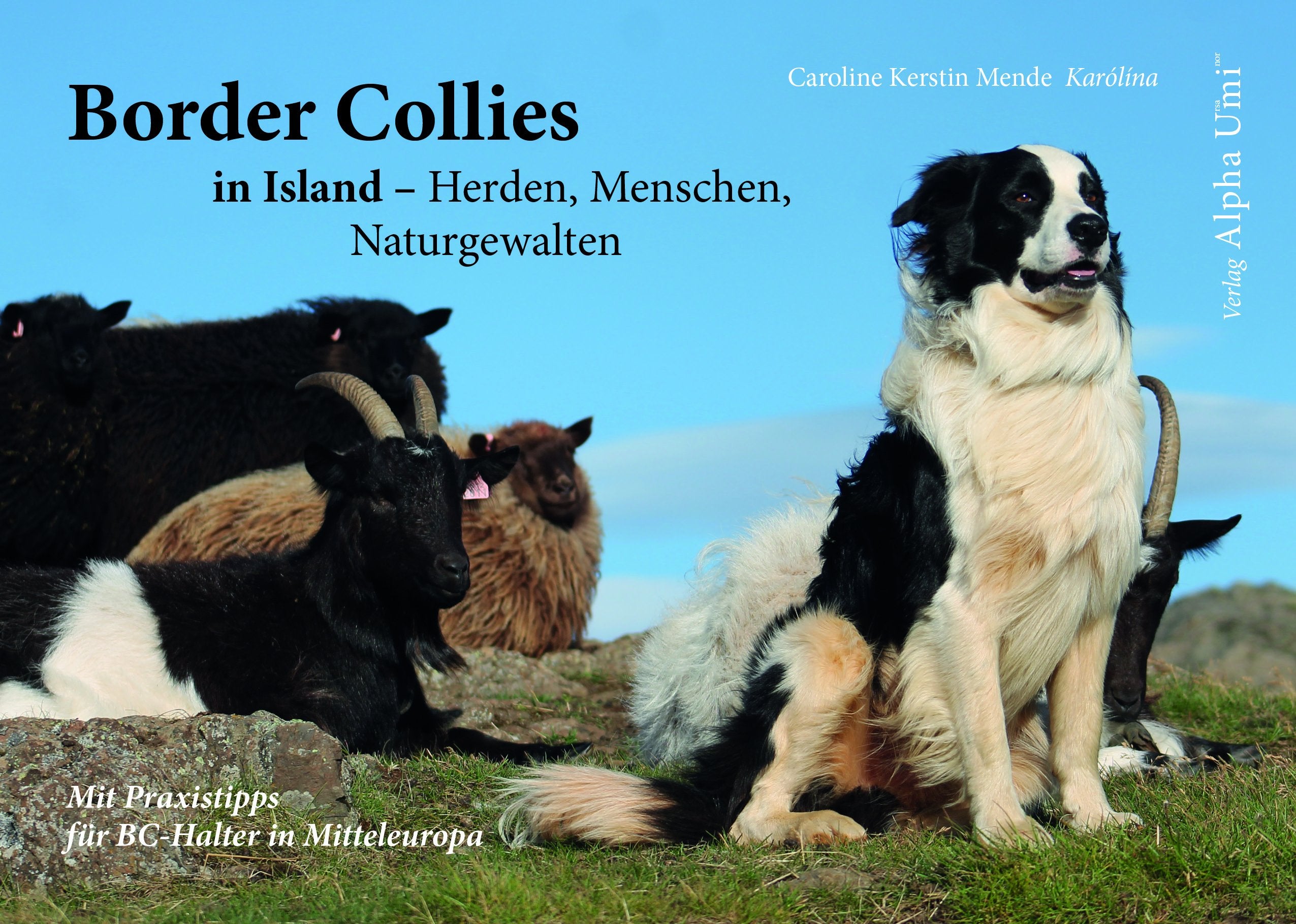 Border Collies in Island - Herden, Menschen, Naturgewalten: mit Praxistipps für Deutschland, die Schweiz und Österreich Pets