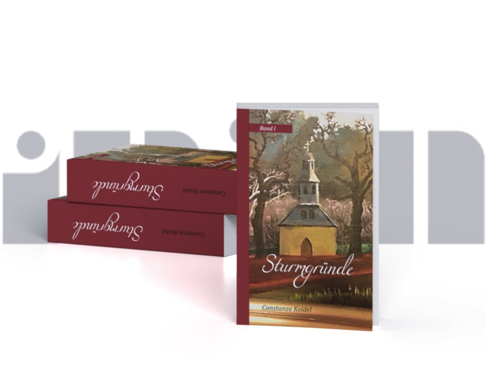 Sturmgründe Contemporary literature Books