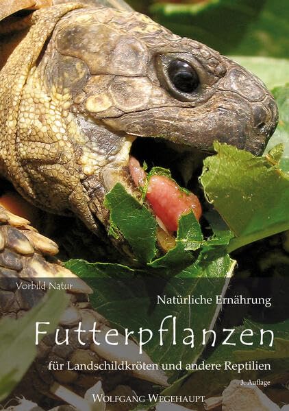 Futterpflanzen: Natürliche Ernährung für Landschildkröten und andere Reptilien Pets