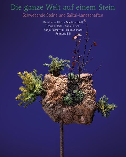 Die ganze Welt auf einem Stein: Schwebende Steine und Saikai-Landschaften Film, Art & Culture
