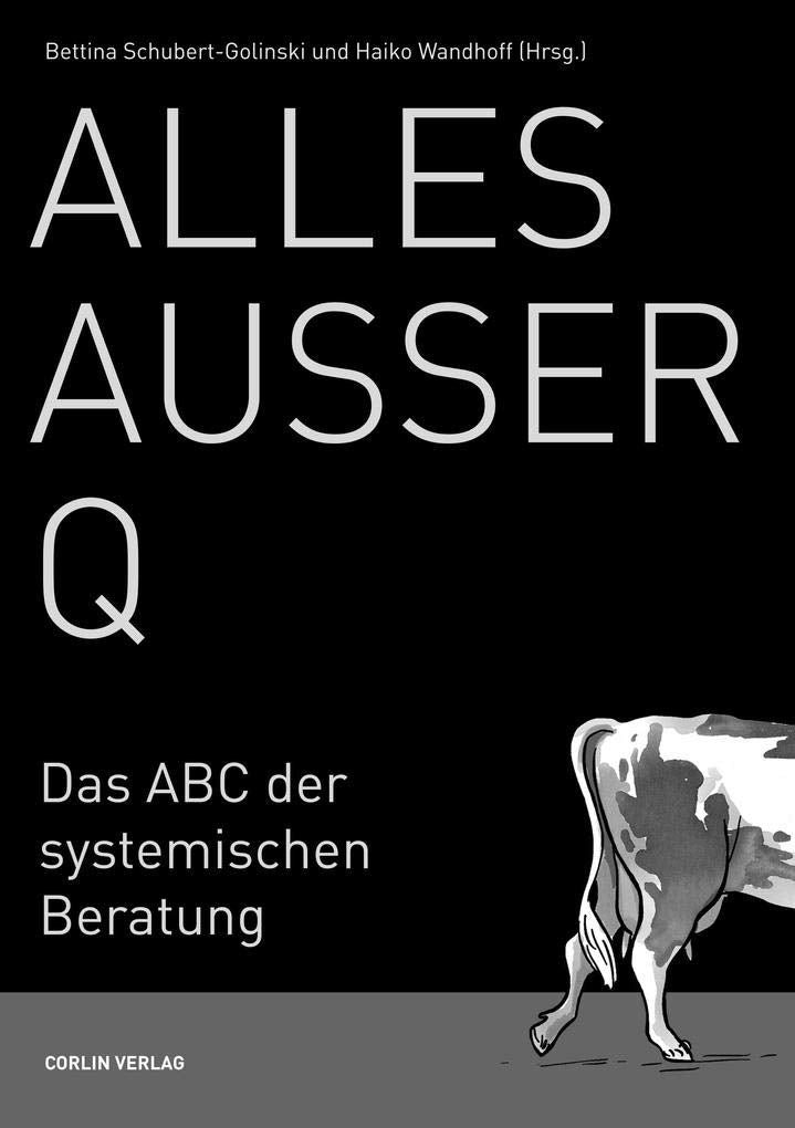 Alles außer Q: Das ABC der systemischen Beratung Business, Finance & Career