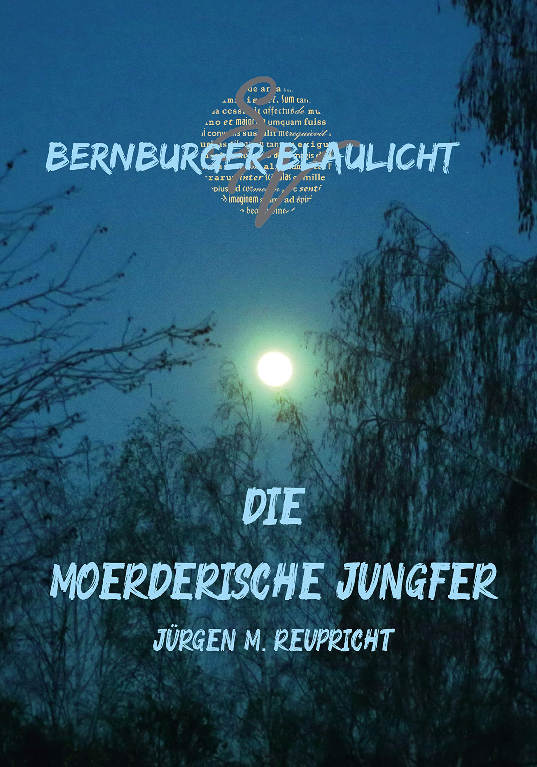 Bernburger Blaulicht: Die mörderische Jungfer Contemporary literature