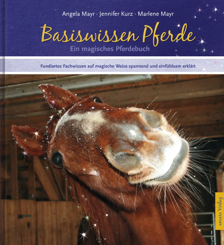 Product Image: Das magische Pferdebuch