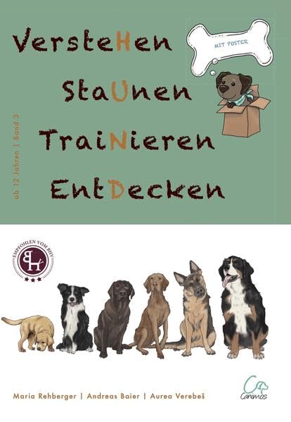 VersteHen,StaUnen,TraiNieren,EntDecken: Band 3 Young adult books
