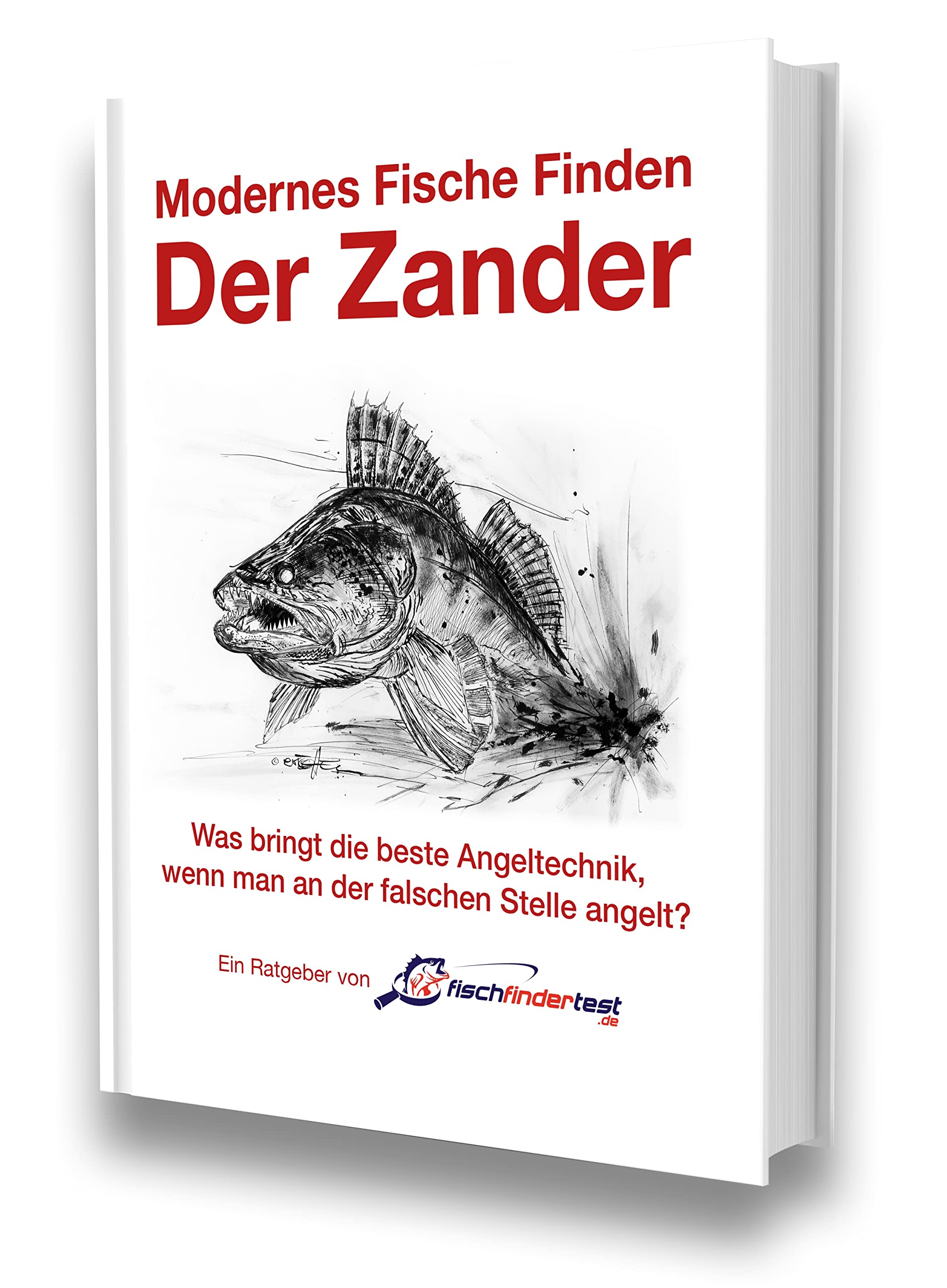 Modernes Fische finden - Der Zander Leisure & Fun