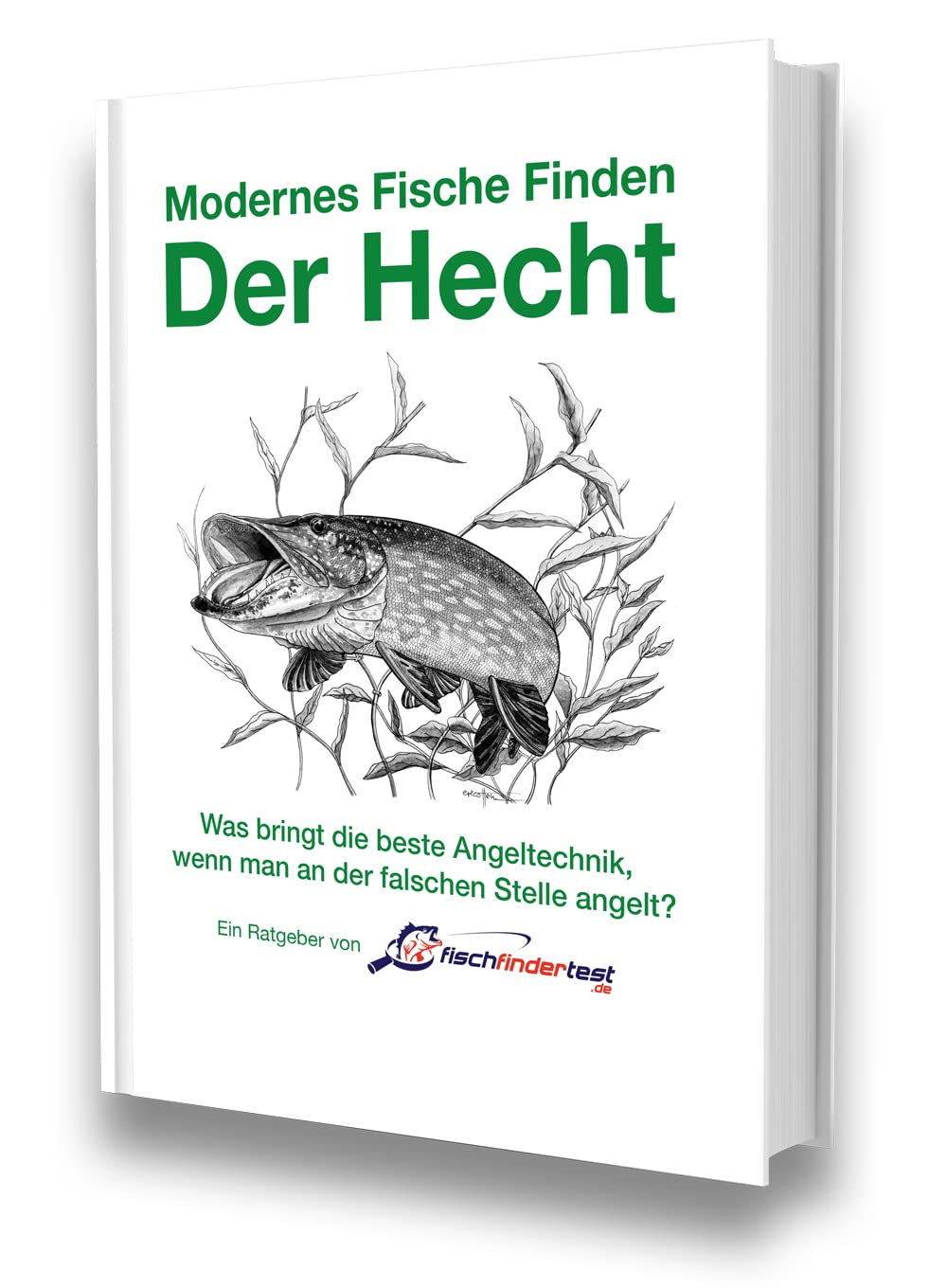 Modernes Fische Finden - Der Hecht Leisure & Fun