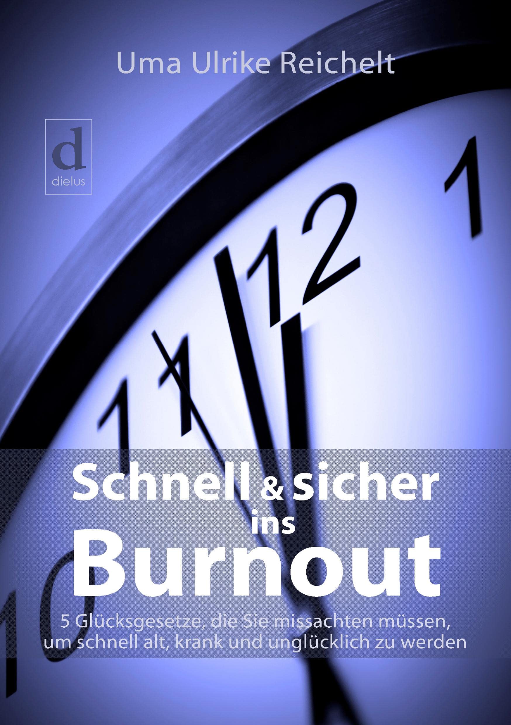 Schnell und sicher ins Burnout book