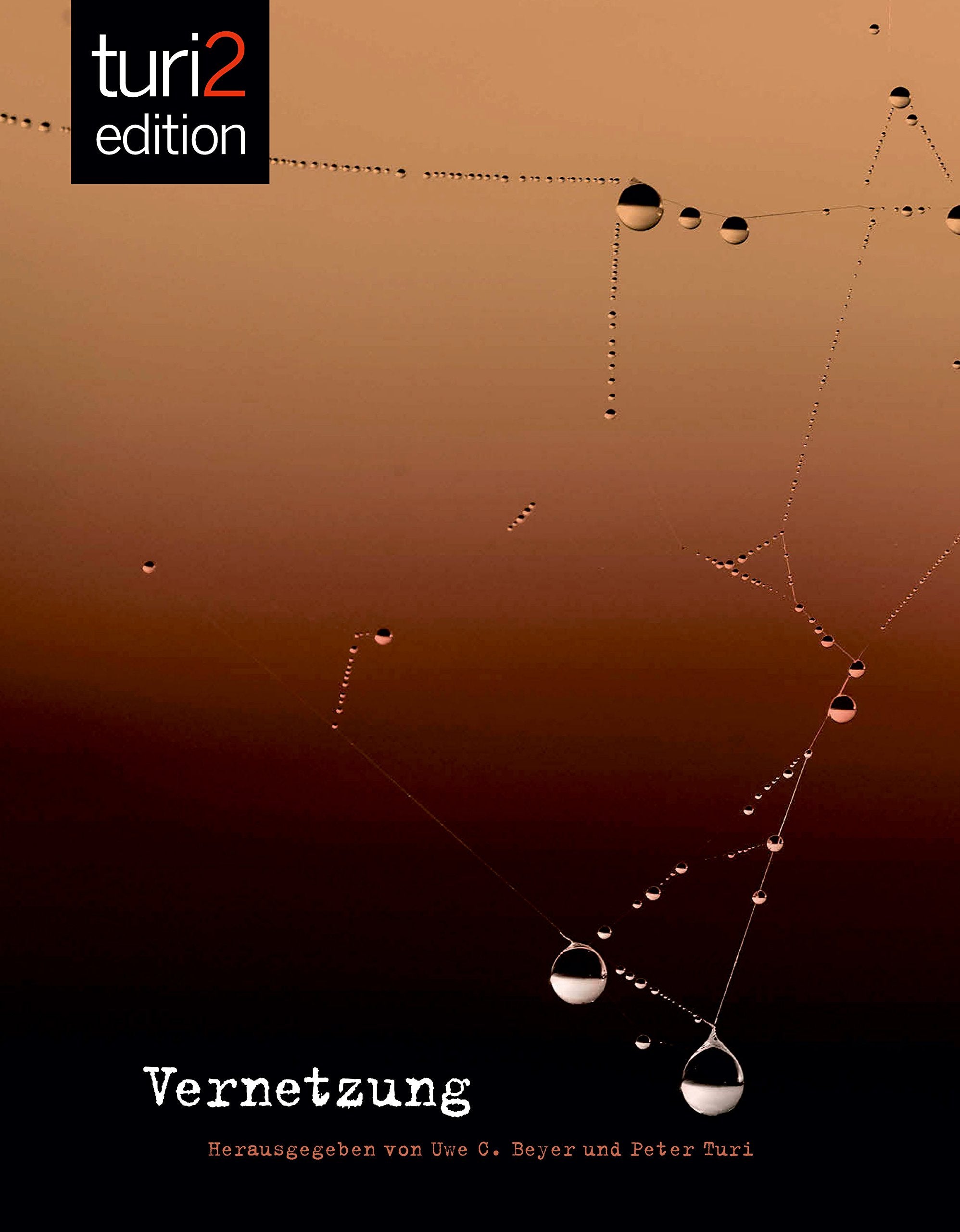 turi2 edition - Vernetzung Law