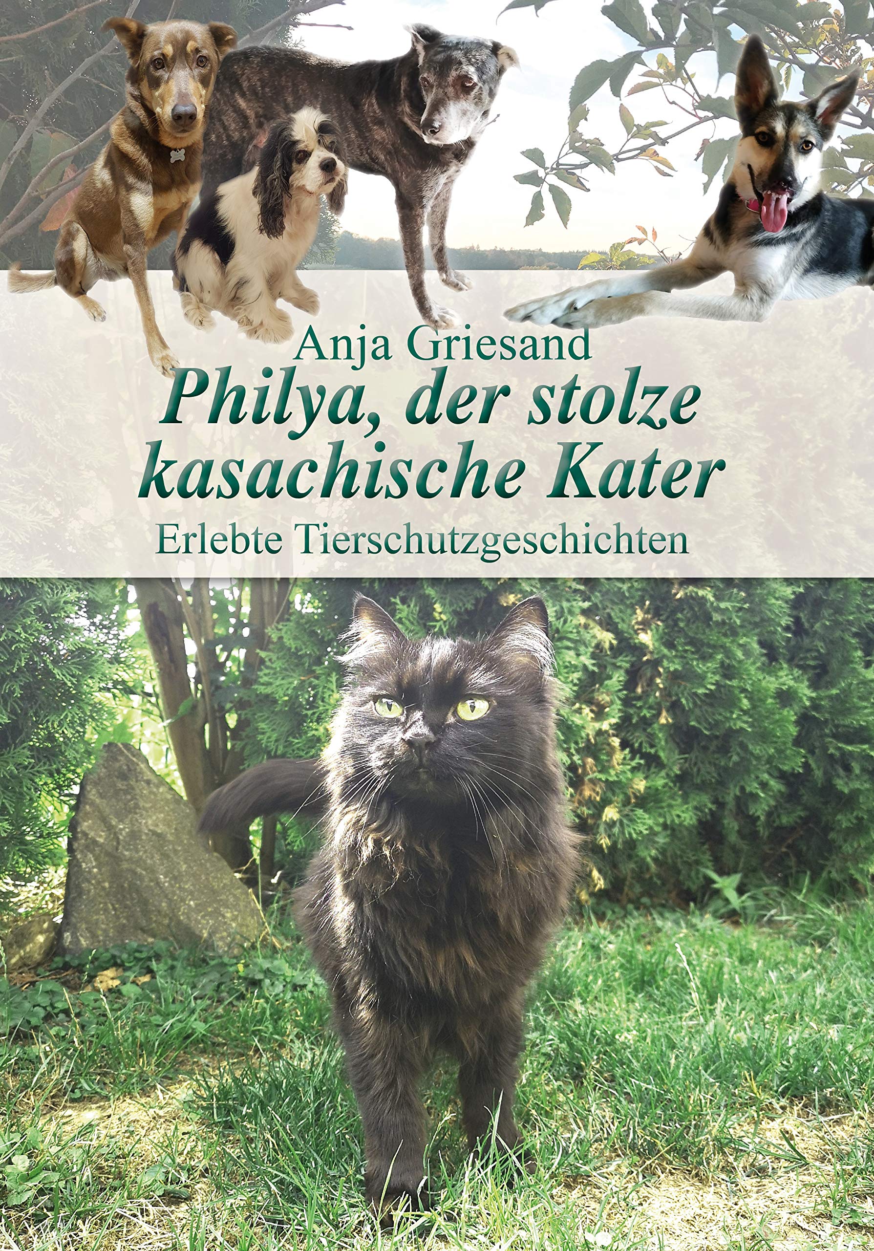 Philya, der stolze kasachische Kater: Erlebte Tierschutzgeschichten book