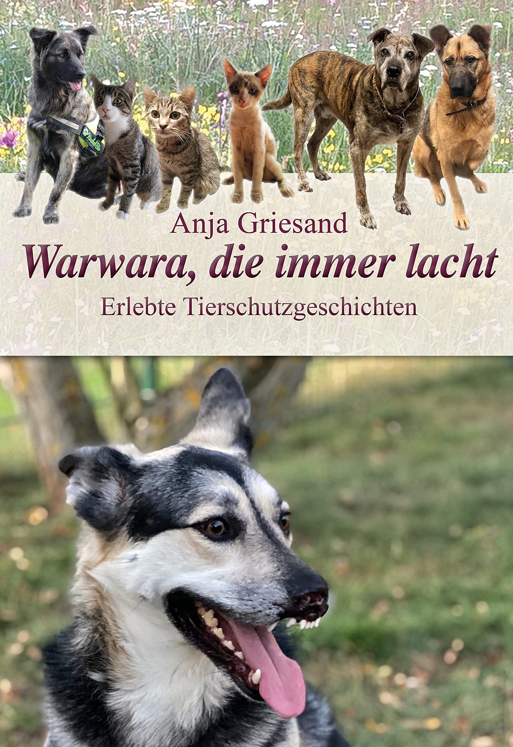 Warwara, die immer lacht: Erlebte Tierschutzgeschichten Social Sciences