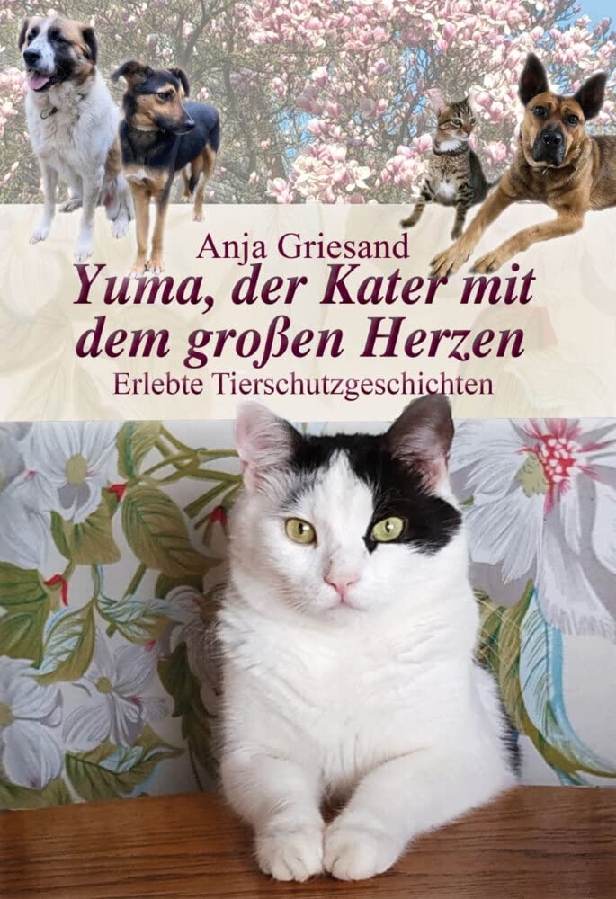 Yuma, der Kater mit dem großen Herzen: Erlebte Tierschutzgeschichten Social Sciences