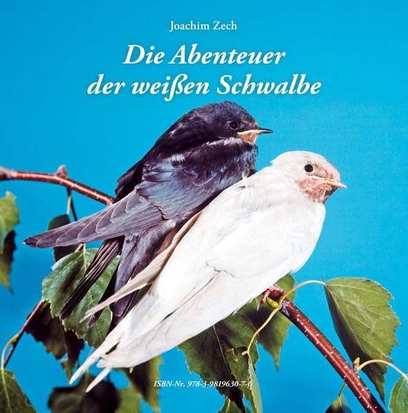 Die Abenteuer der weißen Schwalbe Contemporary literature