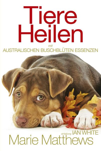 Tiere Heilen mit Australischen Buschblüten Essenzen Medicine