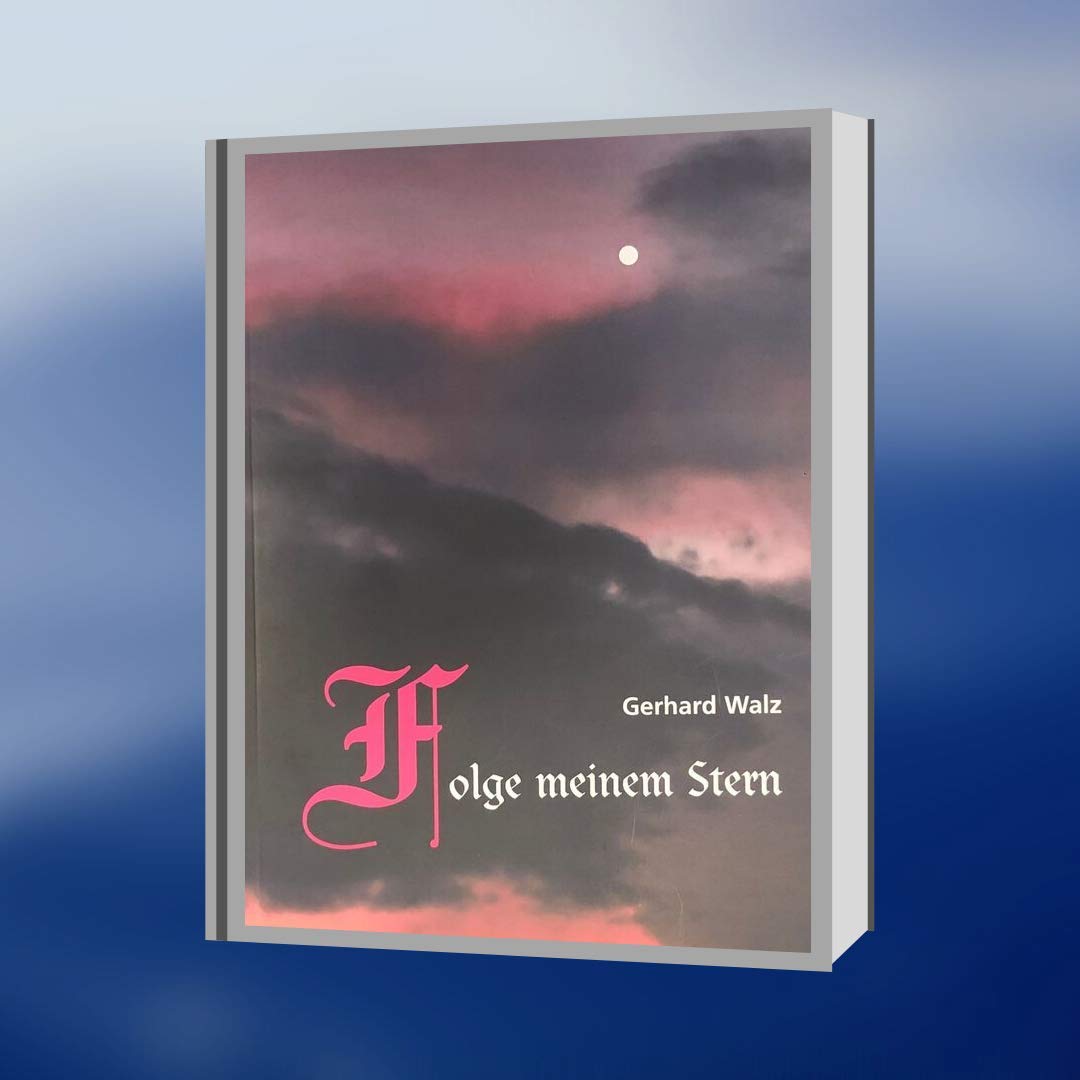 Folge meinem Stern: Lutherbuch Religion & Esotericism