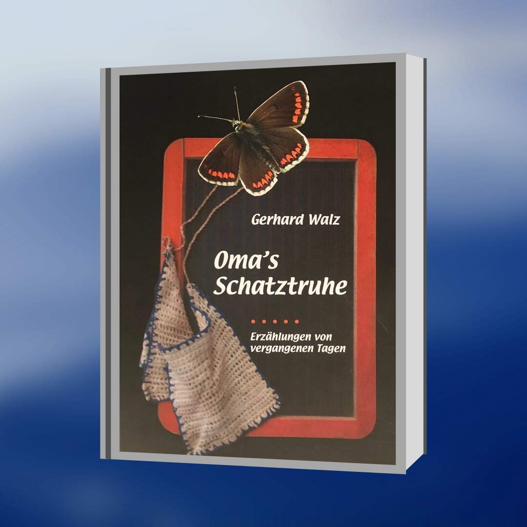 Oma's Schatztruhe: Erzählungen von vergangenen Tagen Politics & History