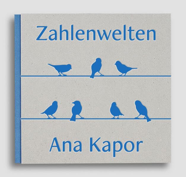 Ana Kapor Zahlenwelten Manga