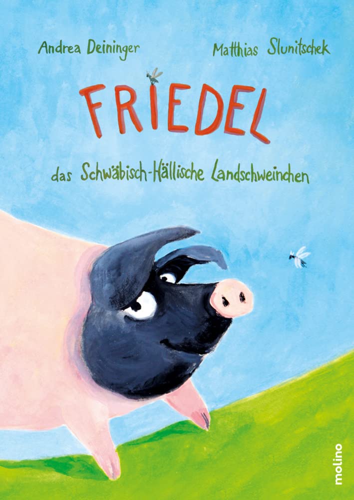 Friedel, das Schwäbisch-Hällische Landschweinchen: Was bloozelt denn da? Leisure, Home & Garden