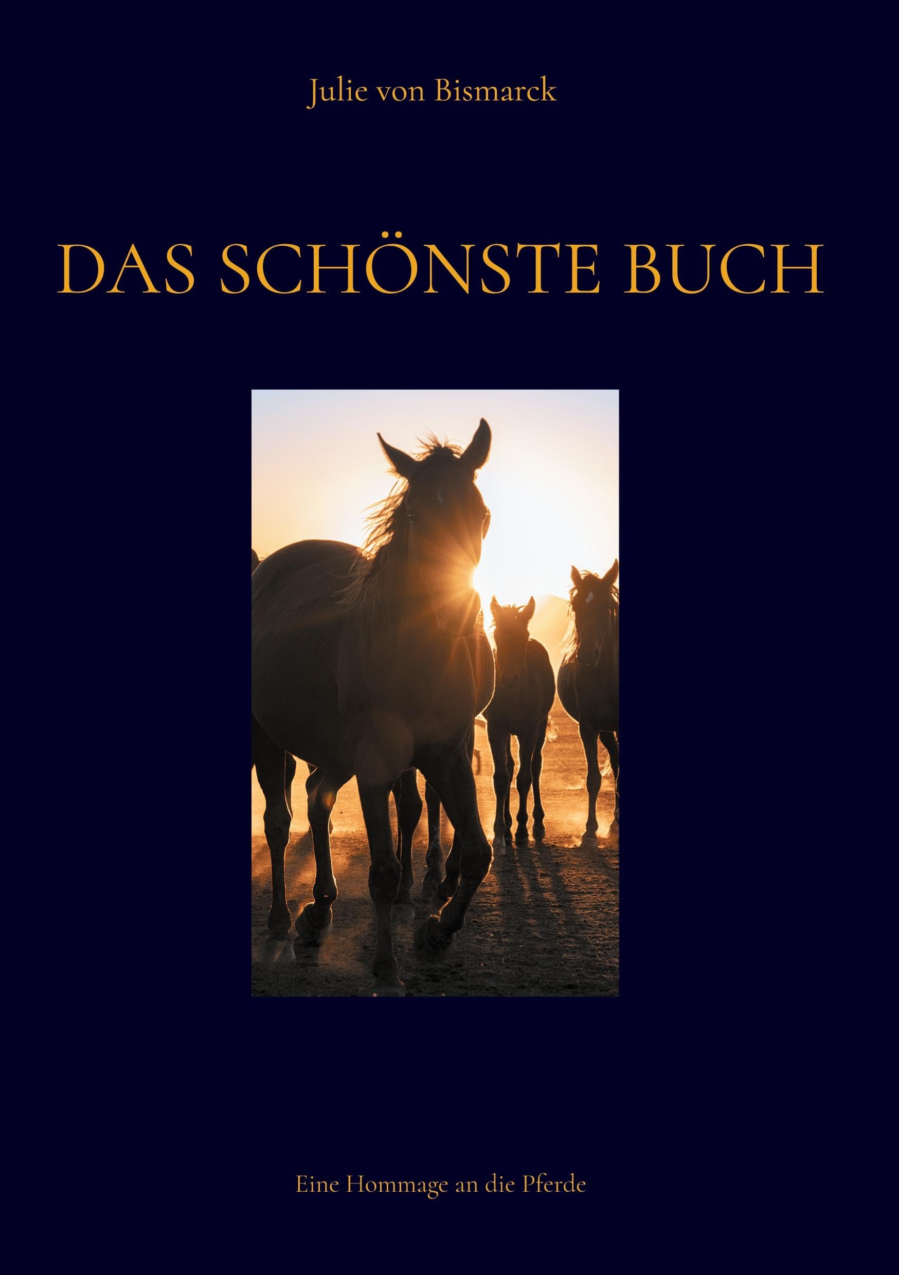 Reitsport - Auf dem Rücken des Pferdes Pets