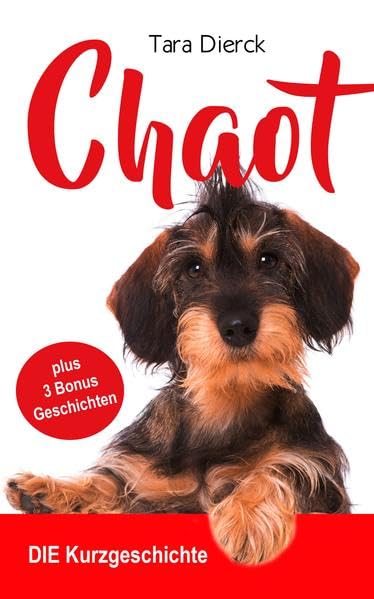 Chaot: DIE Kurzgeschichte inklusive 3 Bonus Geschichten Essays & Short Stories