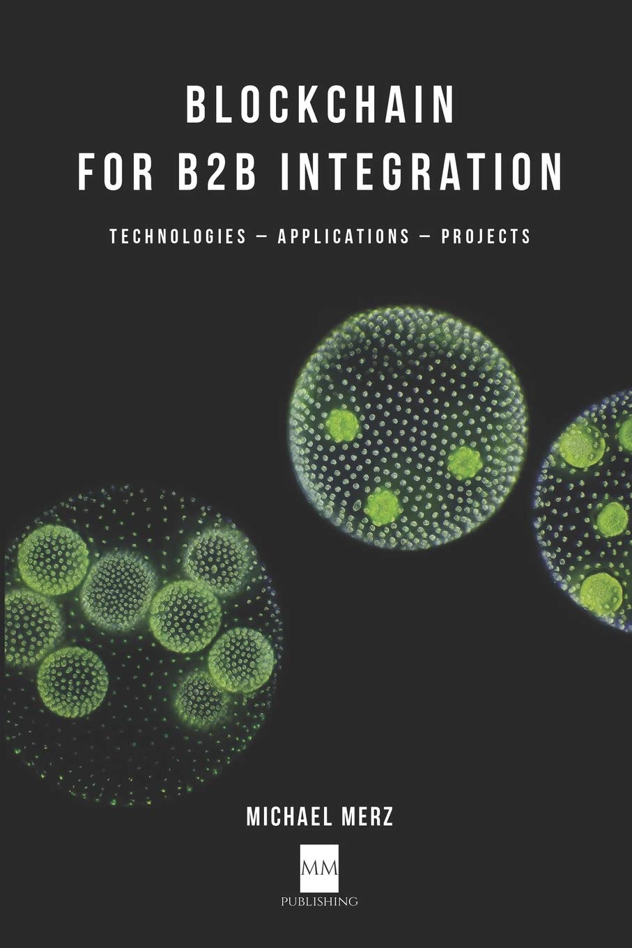 Blockchain for B2B Integration: Technologies, Applications and Projects Computer Science