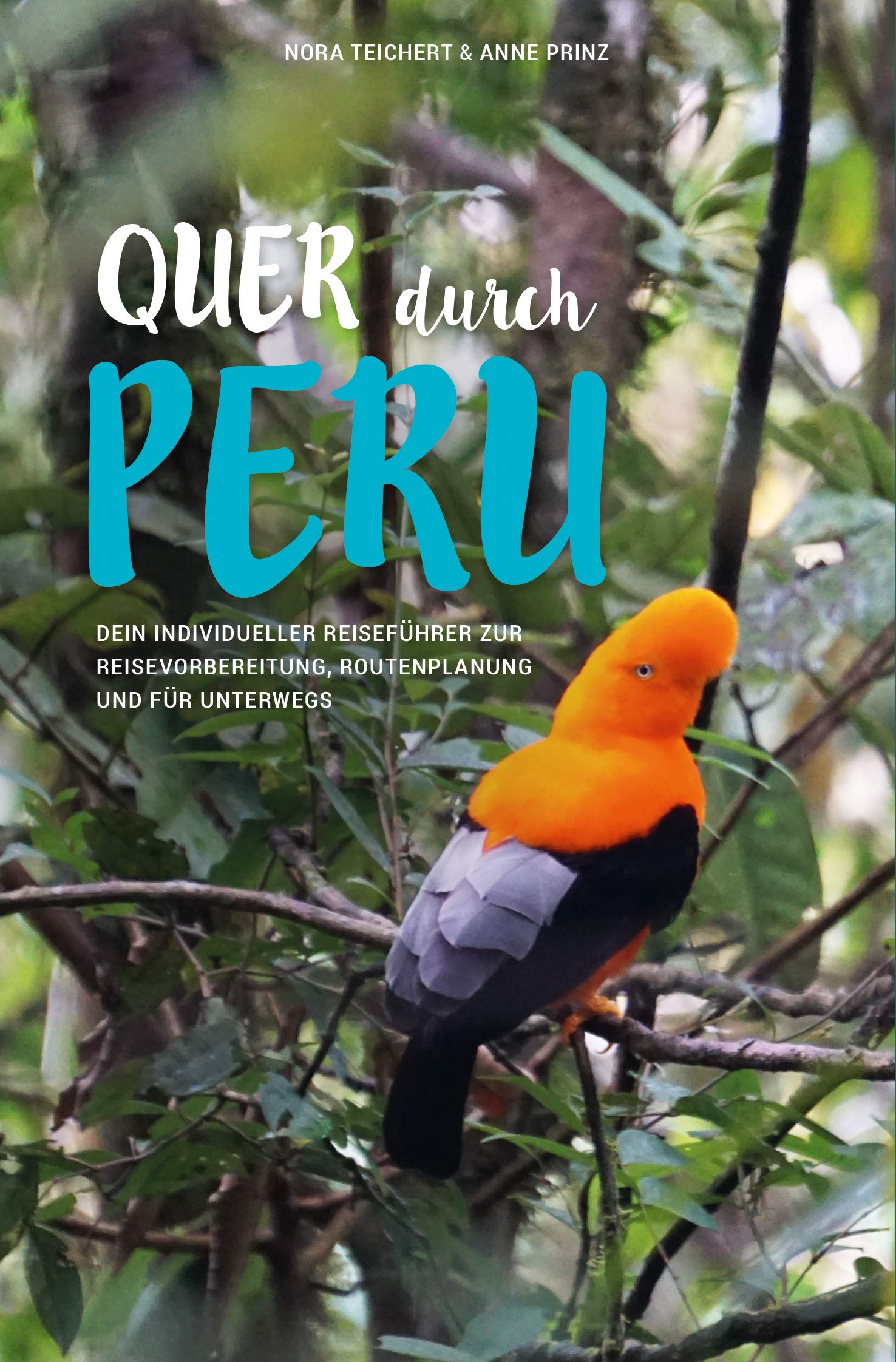 QUER DURCH PERU: Dein individueller Reiseführer zur Reisevorbereitung, Routenplanung und für unterwegs Leisure, Home & Garden