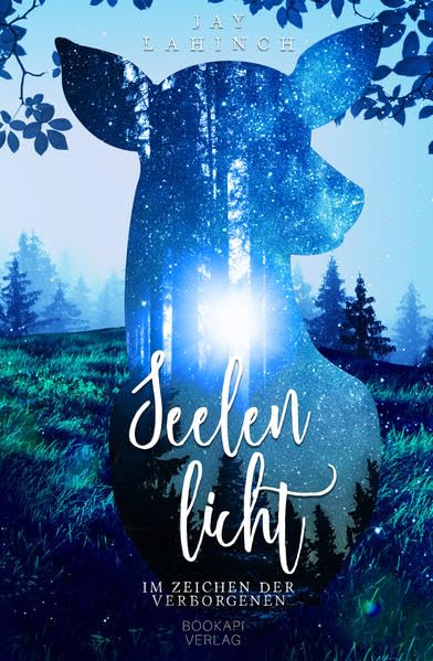 Seelenlicht: Im Zeichen der Verborgenen Historical Fiction