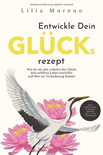 Entwickle dein Glücksrezept: Wie du mit den 5 Säulen des Glücks dein erfülltes Leben erschaffst und Mut zur Veränderung findest! Durch Selbstfindung & Resilienz glücklich sein - trotz Lebenskrisen Philosophy