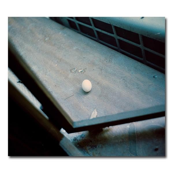 ...und der Garten alles Beton: ...şi grădina numai ciment Poetry