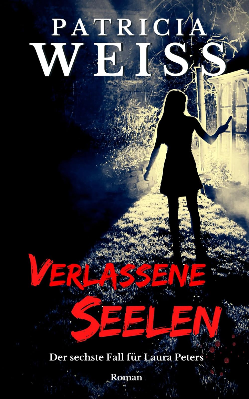 Verlassene Seelen: Der sechste Fall für Laura Peters (Die Laura-Peters-Serie, Band 6) Contemporary literature Books