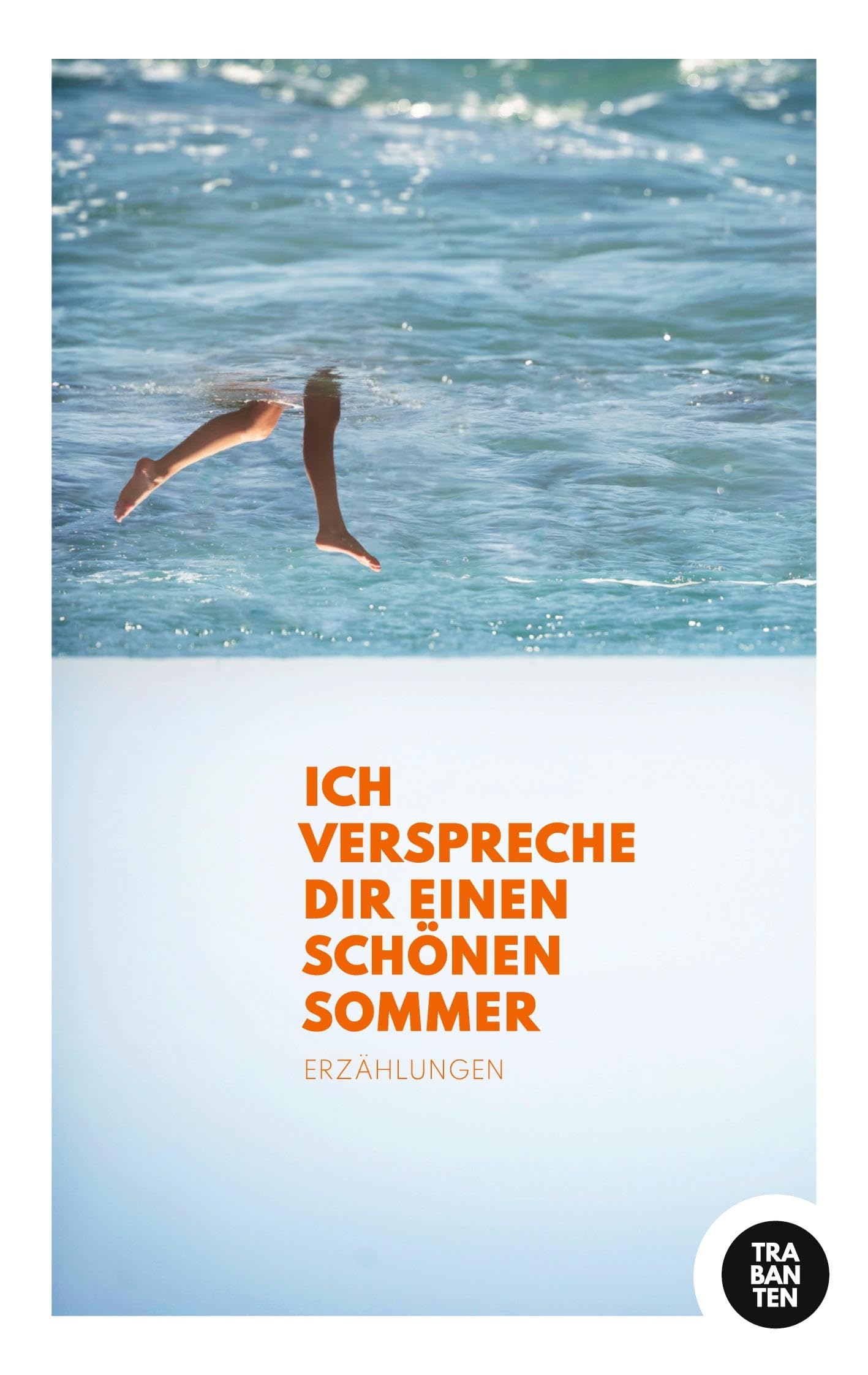 Ich verspreche dir einen schönen Sommer: Erzählungen Contemporary literature