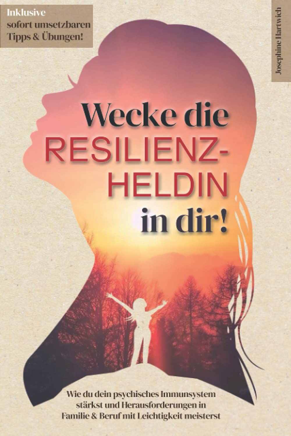 Wecke die Resilienz-Heldin in dir! Wie du dein psychisches Immunsystem stärkst und Herausforderungen in Familie & Beruf mit Leichtigkeit meisterst: Inklusive sofort umsetzbaren Tipps & Übungen! Business, Finance & Career
