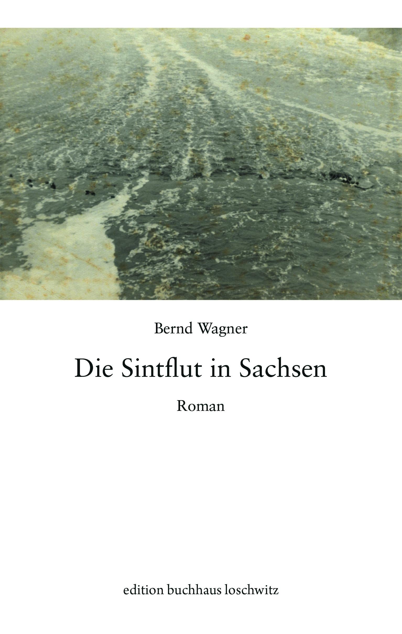 Die Sintflut in Sachsen Contemporary literature