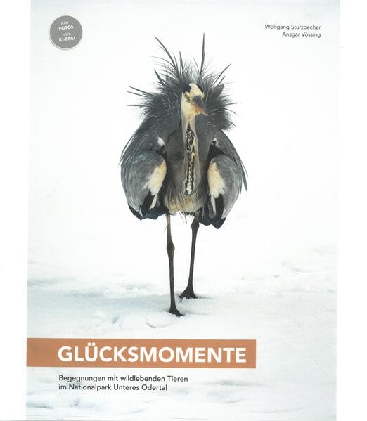 GLÜCKSMOMENTE: Begegnungen mit wildlebenden Tieren im Nationalpark Unteres Odertal Film, Art & Culture