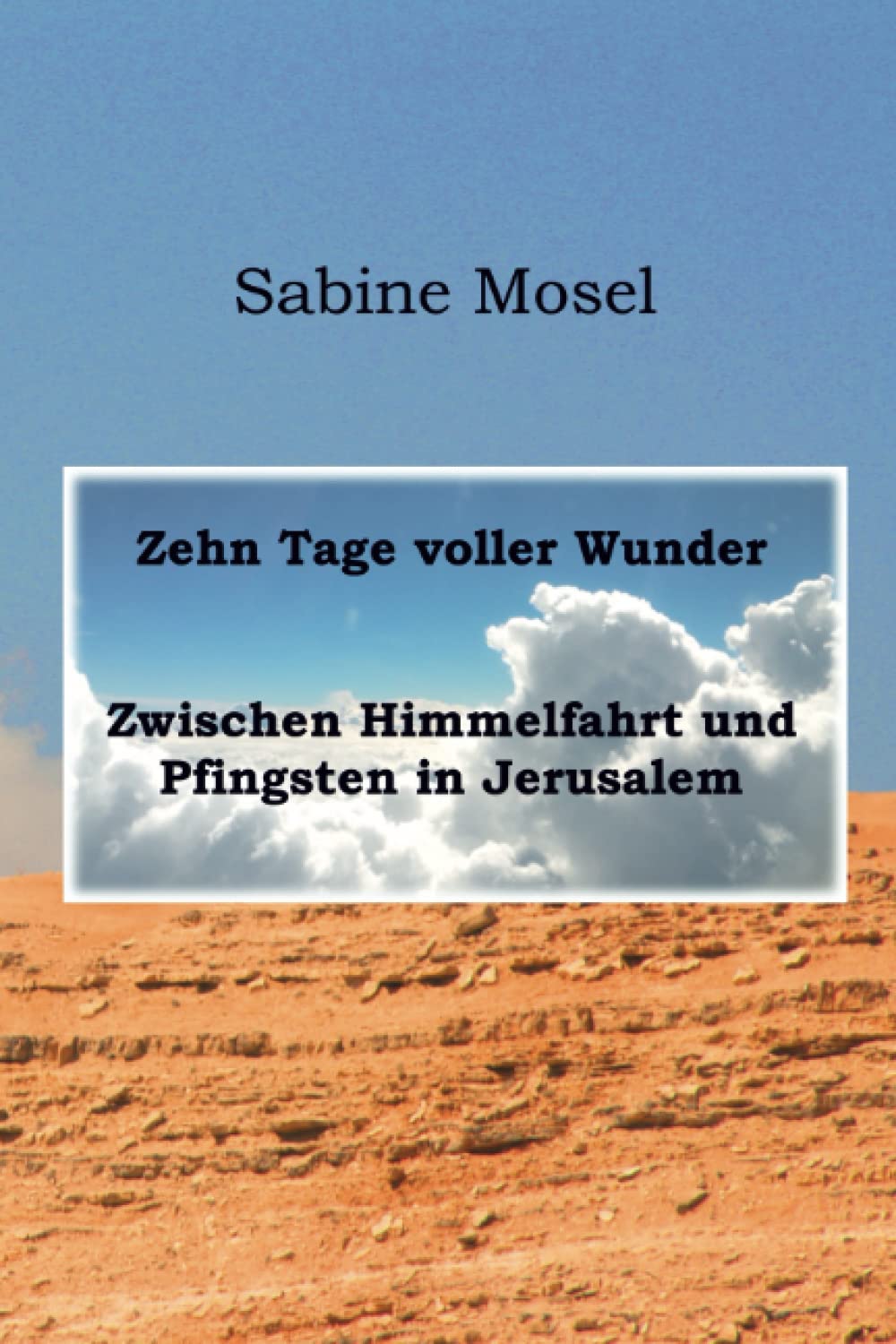 Zehn Tage voller Wunder: Zwischen Himmelfahrt und Pfingsten in Jerusalem Contemporary literature