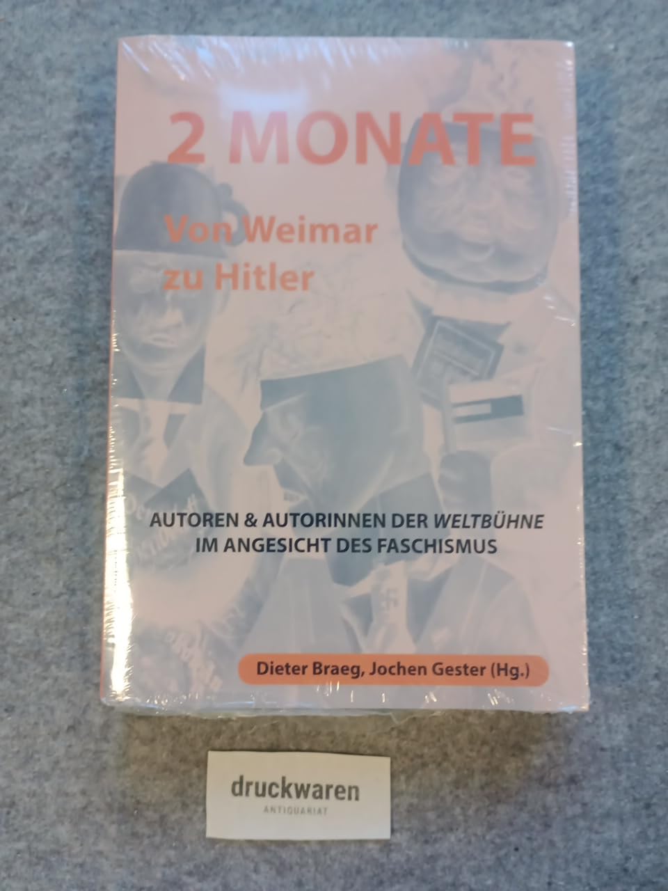 2 Monate - Von Weimar zu Hitler: Autorinnen & Autoren der "Weltbühne" im Angesicht des Faschismus (Die andere Literatur) Books