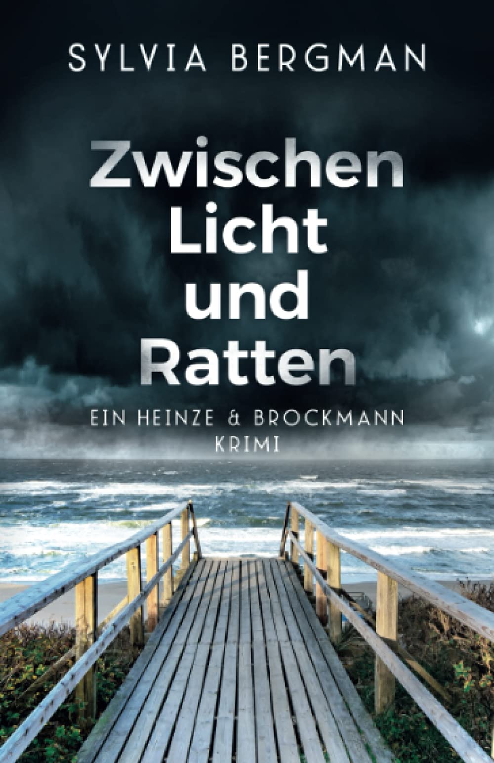 Zwischen Licht und Ratten: Heinze & Brockmanns dritter Fall (Heinze & Brockmann Krimis, Band 3) Action & Adventure