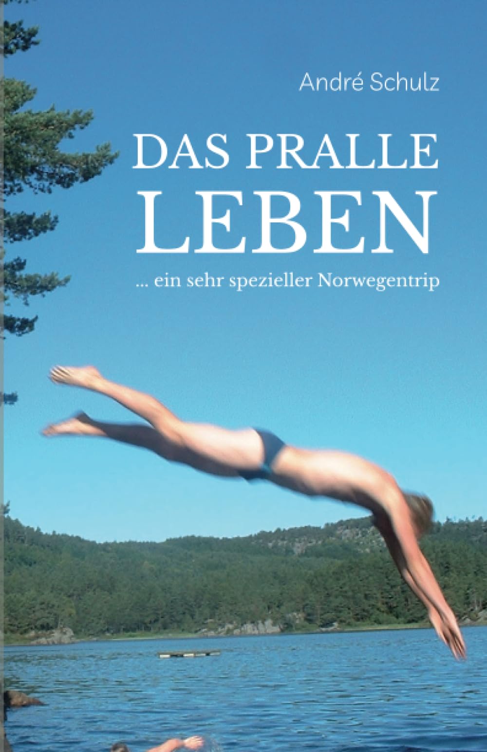 Das pralle Leben: Ein sehr spezieller Norwegentripp (Skogtun Reihe) Travelogues