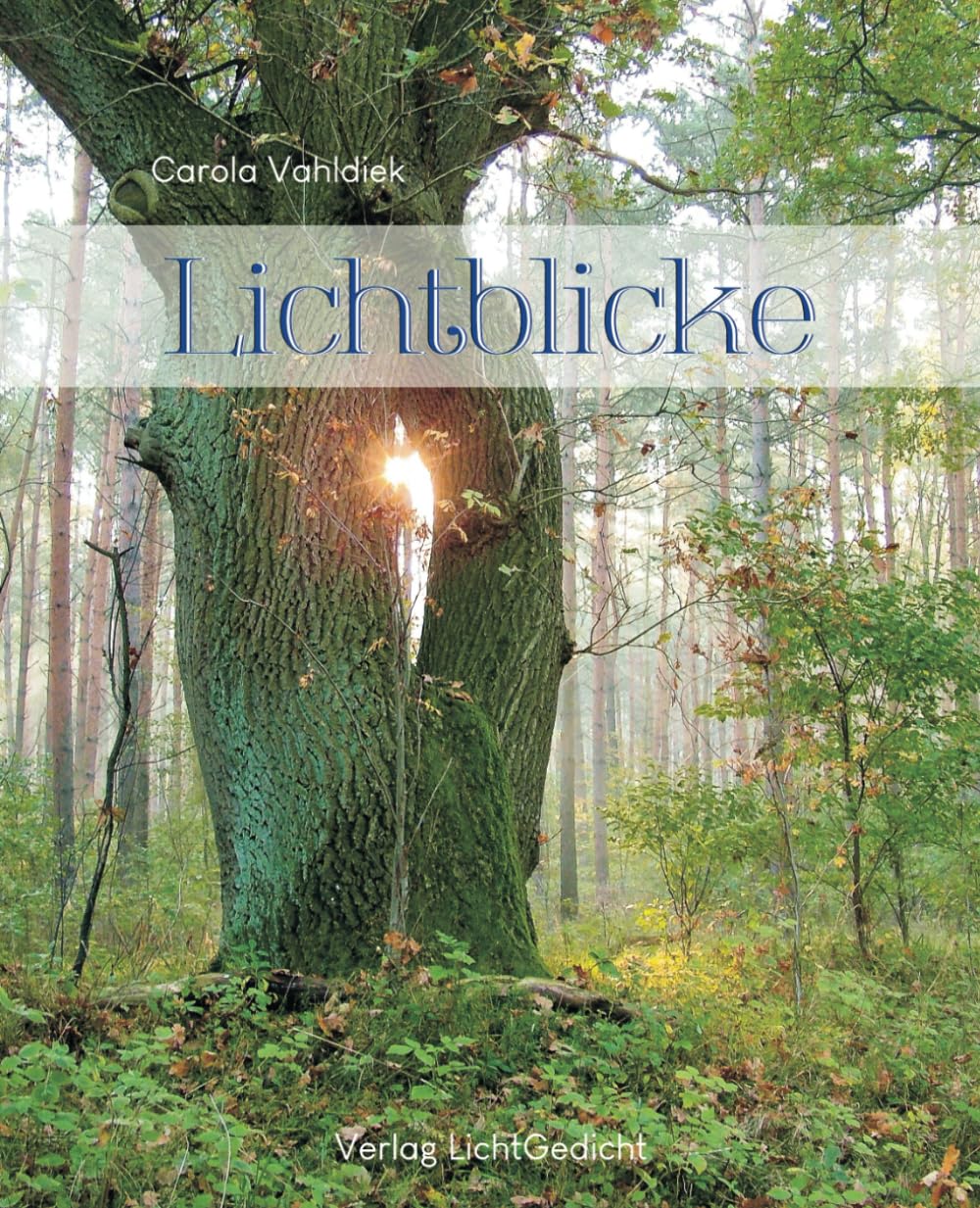 Lichtblicke: Inspirations-, Notiz- und Tagebuch Lifestyle