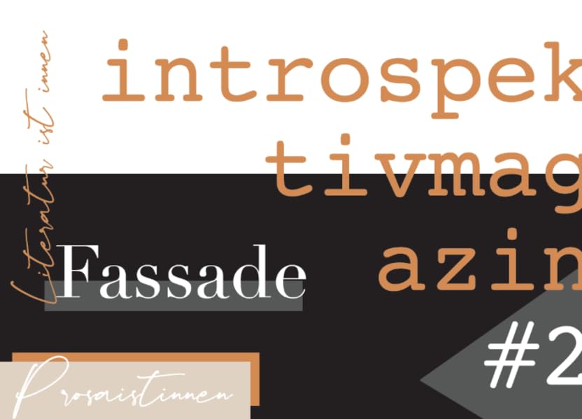 introspektiv #2 – Fassade Fiction